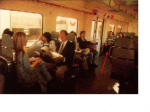 Interior vagón 446